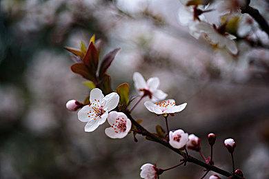 3DM速报：微软687亿刀收购动视暴雪 《游戏王大师决斗》免费推出